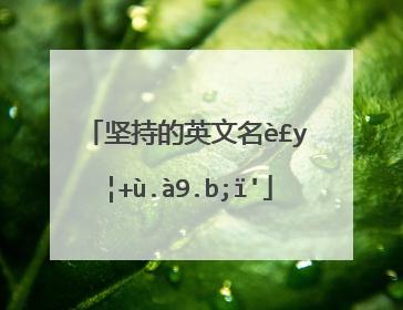 坚持的英文名词是什么?